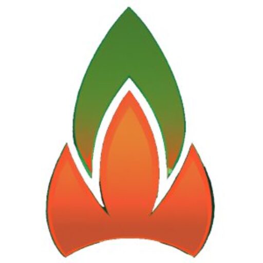 ecofuel flame orange and green
